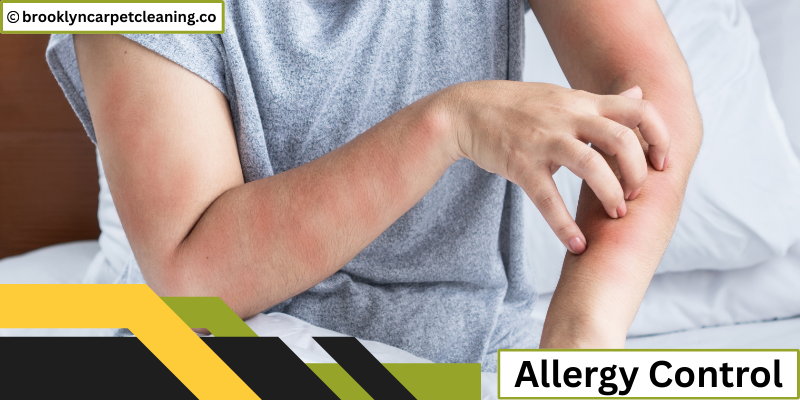 Allergy Control Treatment