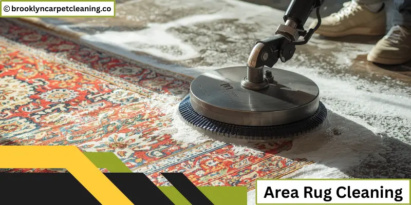 Area Rug Cleaning