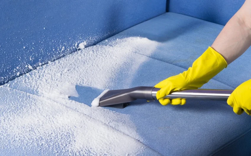 Good Upholstery Cleaner in Brooklyn A 2026 Guide For Locals