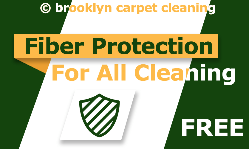 Free fiber protection for all cleaning services